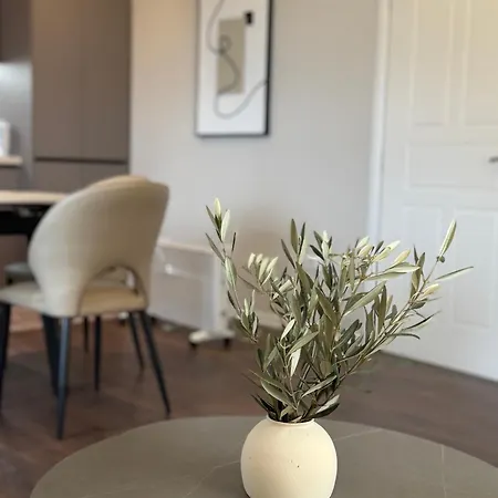Olive Tree