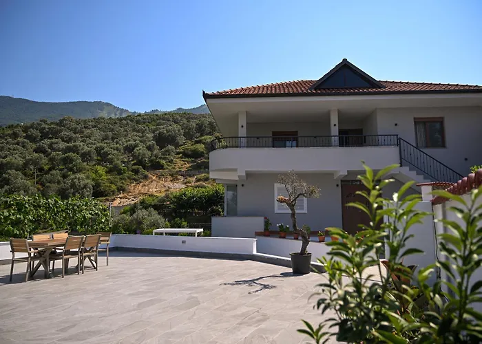 Olive Tree تيرانا